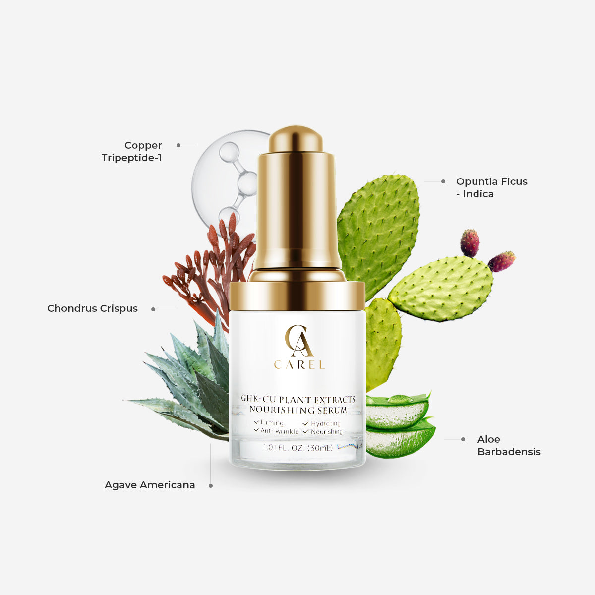 Botanical Peptide Nourishing Serum