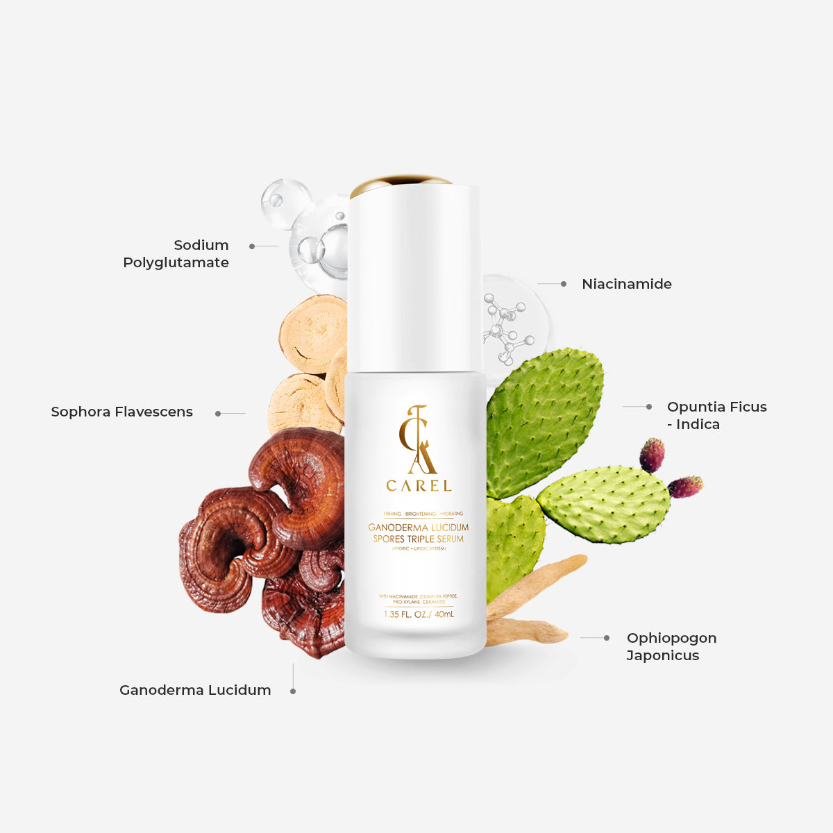 Ganoderma Lucidum Peptide Radiance Repair Serum
