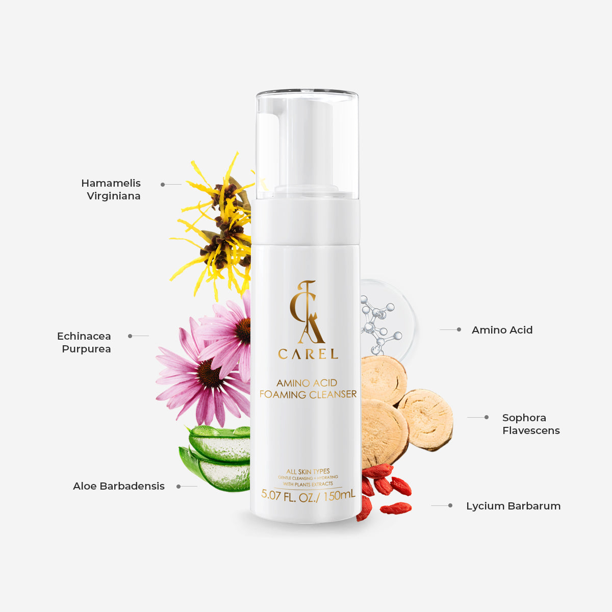 Amino Acid Foaming Cleanser