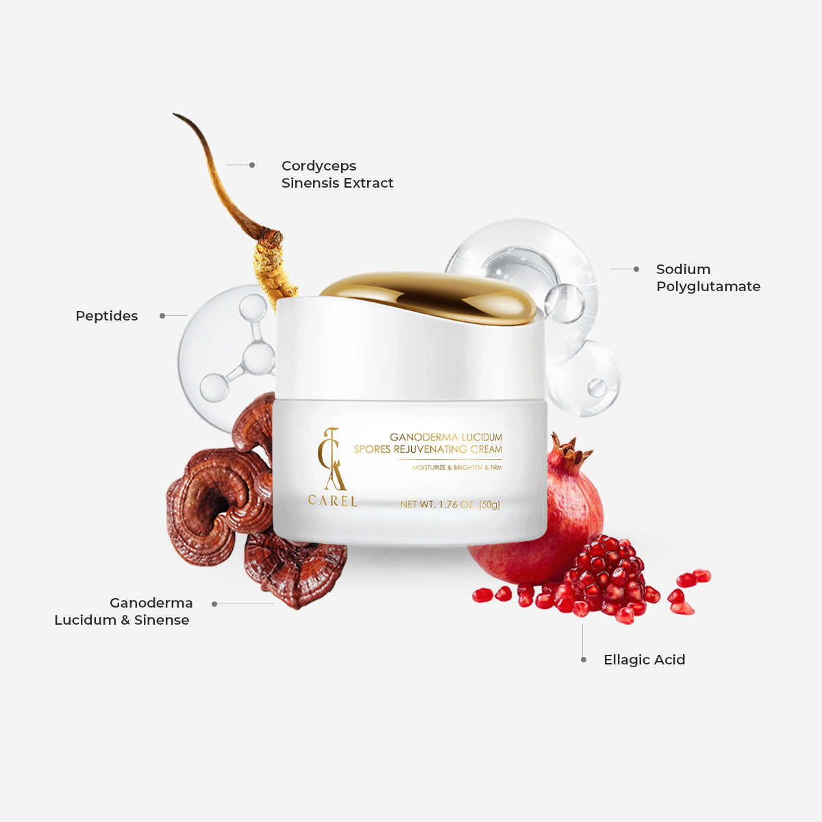 Ganoderma Lucidum Peptide Rejuvenating Cream