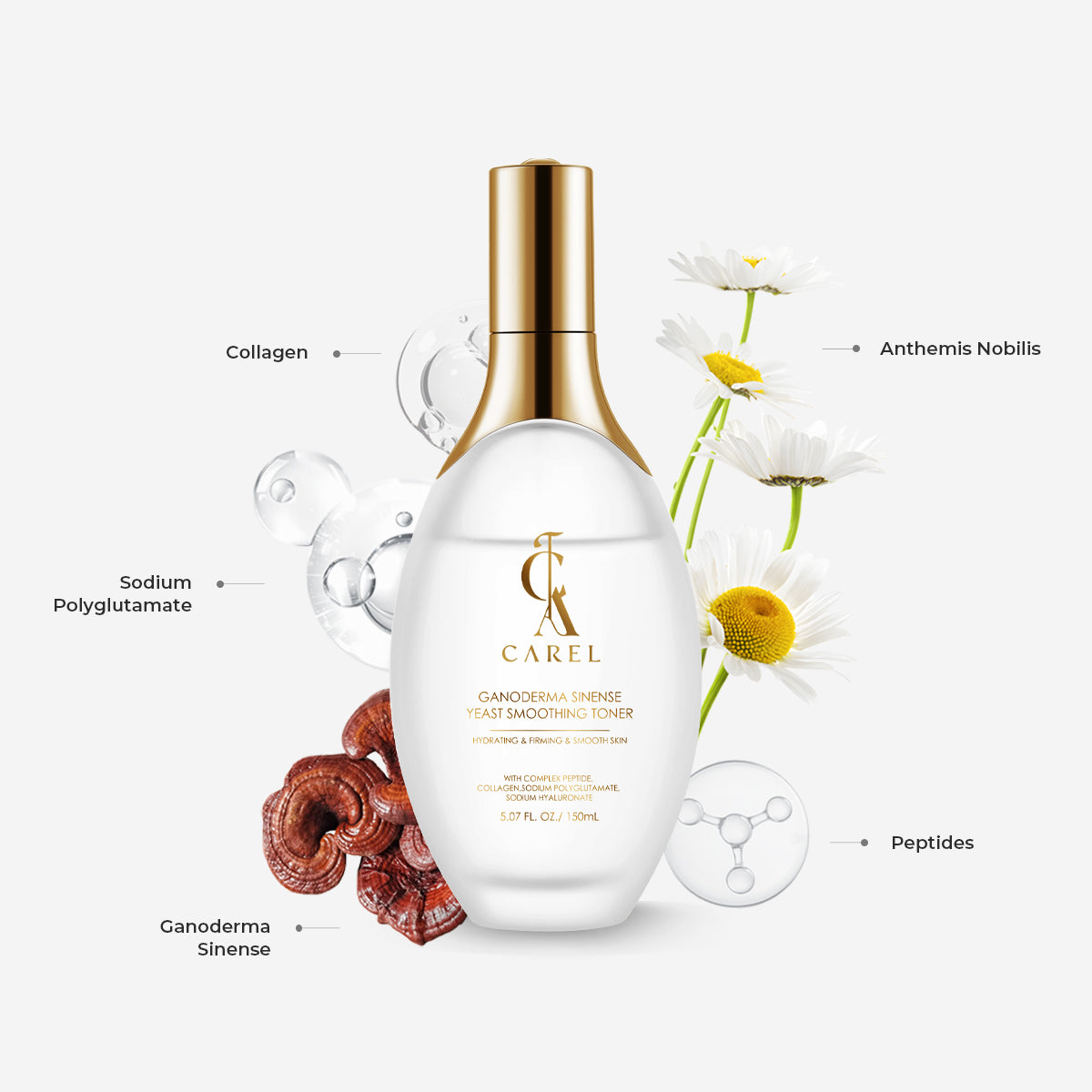 Ganoderma Sinensis Peptide Smoothing Toner